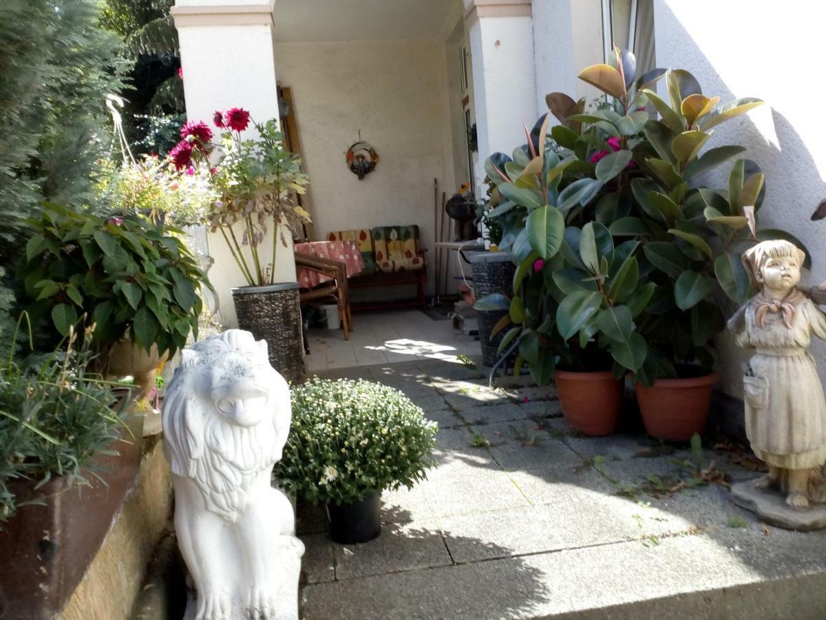 Dach-Studio-Runkel Schadecker Strasse 6 Kültér fotó